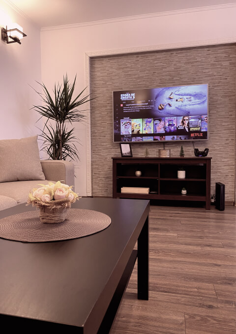 TV Netflix living